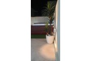 small thumb